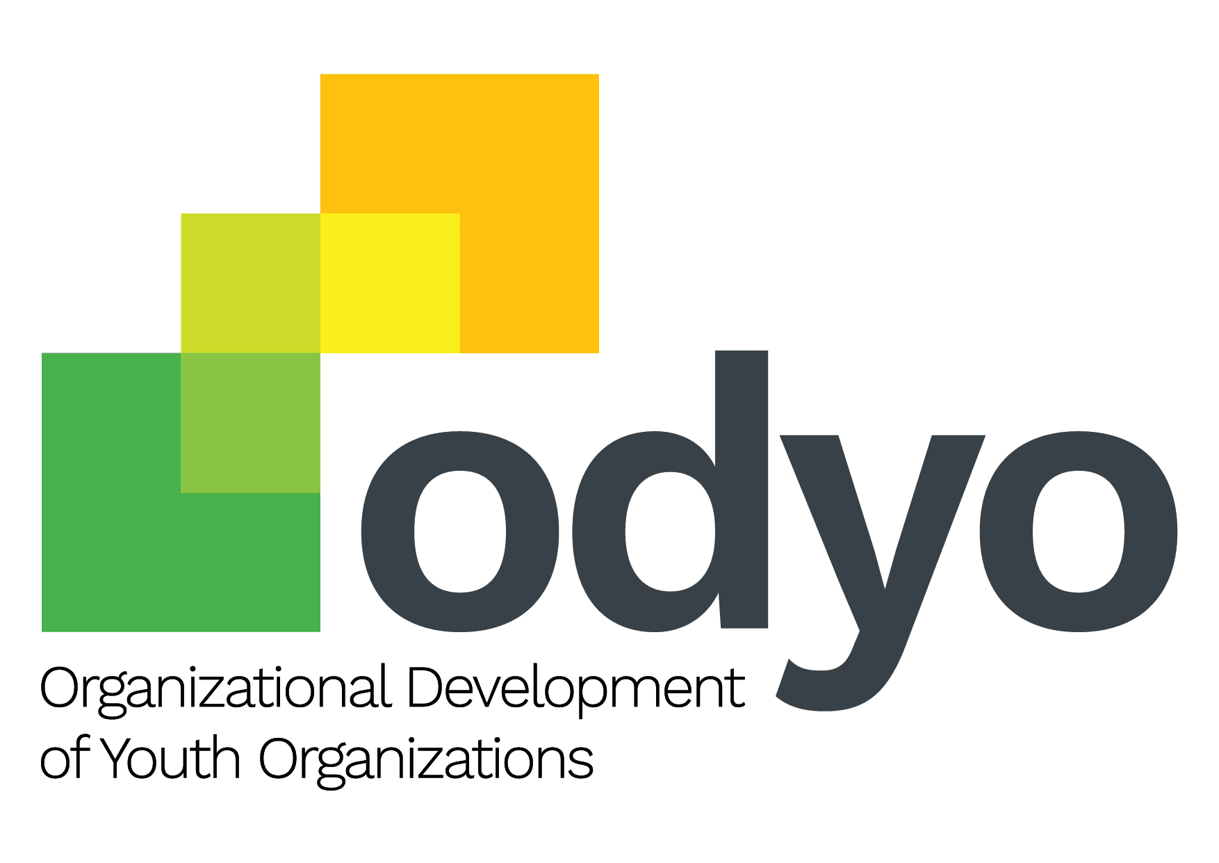 Organizational Development for Youth Organizations (ODYO)